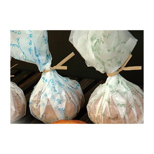 OVV[g@508x762mm tZ(O[) 500 36500121