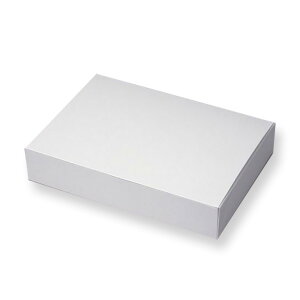 ݂₰ 205×143×40mm 400 ϐEϖEdqWgp n W-20 AT yeCNAEgECxgEƖpEՂEĝĐHiez