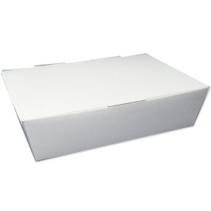 ӂtXibNgCn 200×140×50mm 200 ϖXibNe SF-10 yeCNAEgECxgEƖpEՂEĝĐHiez