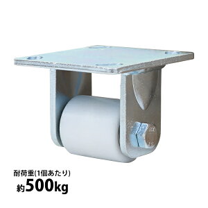  LX^[ ŒLX^[ dʗp iC 1 Pi dʗpLX^[ ω׏d500kg(1) ԗ֒a49mm 54mm Œ iCԗ H q  ^ cstrnyfin50r1p