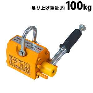  teBO}Olbg iv dsv ݂グd 100kg 0.1t lIW VbN teBO }Olbg i }Olbgt^[ N[ ʊ| ݂ ݋ 