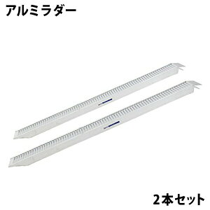  Vi dʃA~_[ 100cm 309cm 2{Zbg A~ubW _[ A~_[ oCN_[ oCNp_[ oCNp ]ԗp lփoM[ k^@ oCNpX[v 