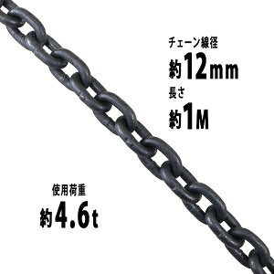  `F[ a12mm gp׏d4.6t 4600kg 1m G80 GRm~[f   ݂ `F[XO XO`F[ N`F[ `FC  N[ zCXg ʊ|