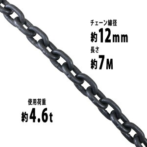  `F[ a12mm gp׏d4.6t 4600kg 7m G80 GRm~[f   ݂ `F[XO XO`F[ N`F[ `FC  N[ zCXg ʊ|