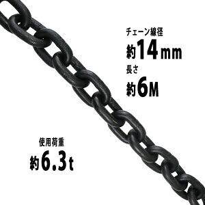 �������� �`�F�[�� ���a��14mm �g�p�׏d��6.3t ��6300kg ��6m G80 �G�R�m�~�[���f�� �� ������ �݂�� �`�F�[���X�����O �X�����O�`�F�[�� �����N�`�F�[�� �`�F�C�� ���� �N���[�� �z�C�X�g �ʊ|��