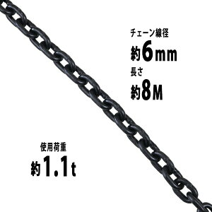 `F[ a6mm gp׏d1.1t 1100kg 8m G80 GRm~[f   ݂ `F[XO XO`F[ N`F[ `FC  N[ zCXg ʊ| 