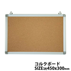  Vi RN{[h A~g A~t[ sibv{[h 450x300 Ǌ|