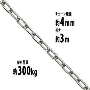  XeX`F[ `F[ a4mm gp׏d300kg 3m SUS304 JISKi XeX   ݂ `F[XO XO`F[ N`F[ `FC  N[