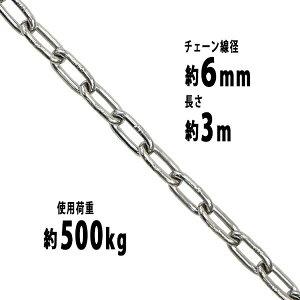 �������� �X�e�����X�`�F�[�� �`�F�[�� ���a��6mm �g�p�׏d��500kg ��3m SUS304 JIS�K�i �X�e�����X�� �� ������ �݂�� �`�F�[���X�����O �X�����O�`�F�[�� �����N�`�F�[�� �`�F�C�� ���� �N���[