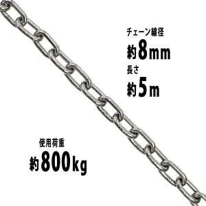  XeX`F[ `F[ a8mm gp׏d800kg 5m SUS304 JISKi XeX   ݂ `F[XO XO`F[ N`F[ `FC  N[