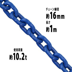  `F[ a16mm gp׏d10.2t 10200kg 1m G100 nCO[hf   ݂ `F[XO XO`F[ N`F[ `FC  N[ zCXg 