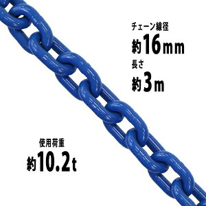 �������� �`�F�[�� ���a��16mm �g�p�׏d��10.2t ��10200kg ��3m G100 �n�C�O���[�h���f�� �� ������ �݂�� �`�F�[���X�����O �X�����O�`�F�[�� �����N�`�F�[�� �`�F�C�� ���� �N���[�� �z�C�X�g ��