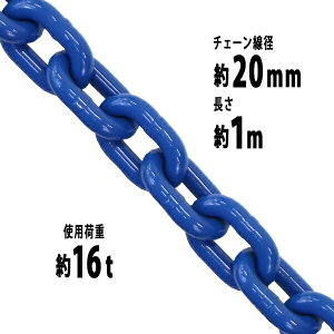  `F[ a20mm gp׏d16t 16000kg 1m G100 nCO[hf   ݂ `F[XO XO`F[ N`F[ `FC  N[ zCXg 