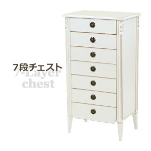  RR 7i`FXg zCg W54.5×D37×H105(cm) [ ؐ RR AeB[N NVbN g [sA GKg CeA Lrlbg TCh`FXg TCh