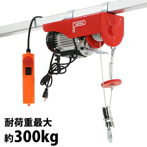  dEC` dzCXg \EC` ω׏dő300kg 0.3t őg12m 100Vd tbNt Sut ԃtbN C[12m C[ EB` ƒp ^ y חg