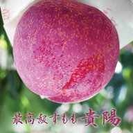早期ご予約《落合の高級プラム すもも 貴陽 》【山梨県産 すもも 貴陽 約1.5kg ( 6玉～7玉程度) 】大玉厳…