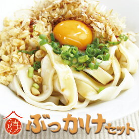 母の日【吉田うどん 7~8人前 ぶっかけセット】 送料無料 ギフトセット 贈答品 山梨県 富士吉田 生麺タイプ クール便発 贈り物 のし可九州 浦原いわし削りぶしの『赤のかつお』か焼津産『緑のいわし』 ※ 信州産無添加醤油 お取り寄せグルメ 吉田のうどん。