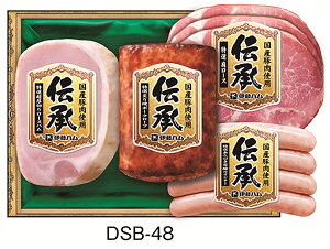  s ɓn Ε lߍ킹 Mtgt y ` MtgZbg DSB-48 z n lߍ킹 Mtg Zbg Ε j 蕨  ① I ؂ [Xn It |[N