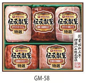 ɓn s Ε n Mtg ty ` MtgZbg GM-58 z n lߍ킹 Zbg Ε j 蕨 i v① I zCg[Xn ē iMd z