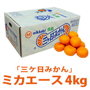 Ε t[c Mtg m O ݂ ~JG[X 4kg ny ÉY O݂ ~JG[X  LTCY 4kg z ~Mtg B  ~J ݂ j Ε 