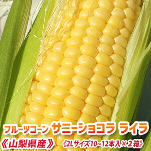 yߘa8N\񕪁zs Ƃ낱 10`12{ty ̂ ÂƂ낱 Tj[VR Ci2L 10`12{jz gERV t[cR[ XC[cR[ xr[R[ 