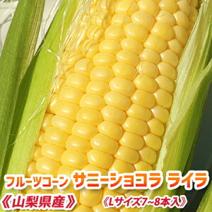 yߘa8N\񕪁zs Ƃ낱 7`8{ty ̂ ÂƂ낱 Tj[VR CiLTCY 7`8{) z gERV t[cR[ XC[gR[ OR[ 