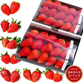 【からだに優しい苺です。残留農薬0 】[ いちご 詰め合わせ 2パック入り ] 送料無料 お子様にも安心 安全 ギフト 贈答 章姫 かおり野 紅ほっぺ 愛ベリー かんな姫
