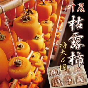 R AvXsY u aSڊ`̌͘I`v ` TCYi80gȏj6  i 蕨