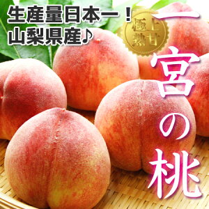 �s����������{�� �� �t�y �R�����Y ��{�̓� ��4kg (10�`12��)�z�������� �������� �l�ߍ��킹���M�t�g ������ �����i �Y�n���� ���� ���� �s�[�` �����݂̂� ���씒�P ��Ԕ��� ���[�� ���P