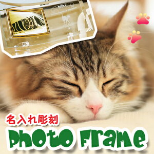 yz Lh ̕ɂ߁y꒤ tHgt[zEɈB؂ȃlR̖OELOEVGbg̓IWifUCI LObY MtgΉ ʐ^