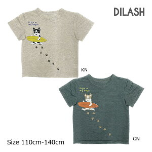 50%OFFZ[fBbVDILASH t`uhbN tuT[tB TVci110E120E150E140jq j̎q LbY WjA   lC   Li O[