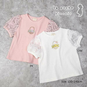 50OFFZ[E|VFErXLC@La poche biscuit@  t[`[  TVc(110E120E130E140)qǂ@̎q@w@LbY@ptX[u@hJ@AEgbg z