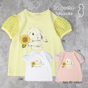 ��50��OFF�Z�[�������E�|�V�F�E�r�X�L���C�@La poche biscuit�@�������@�����@T�V���c (90�E100�E110�E120�E130�E140�j �c���@�L�b�Y�@���w���@���̎q�@�������@�����@��100 �A�E�g���b�g ���z