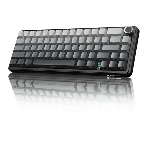 ATTACK SHARK X66 ���J�j�J���Q�[�~���O�L�[�{�[�h 65% 66�L�[ 1�m�u ���C�����X Bluetooth 2.4GHz USB-C�L�� �x���[�X�C�b�` Gasket�\�� 5�w�z�� 3�s�� 5�s�� �z�b�g�X���b�v �R�g�R�g�n RGB PBT�L�[�L���b�v 3