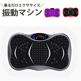 【25日限定15%OFF】 【在庫処分】 3D振動マシン ダイエット フィットネストレーニング 運動不足 足 腰 太もも 筋肉 筋トレ バランス 健康 器具 体幹 振動 音楽再生 Bluetooth USB 脂肪燃焼 引き締め マッサージ