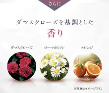ドレスリフト 洗顔・化粧水・日中用乳液・夜用クリーム 体験セット 医薬部外品