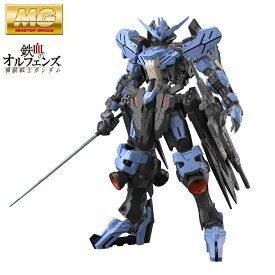 MG 1/100 ガンダムヴィダール