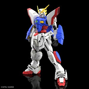RG VCjOK_