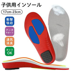 y݌Ɉ|SALE1580~698~zq  C\[ A[`T|[g X|[c oXP oR ~ 3DA[` l̍Hw  Ռz Ε y܂ TCY\ jp |Cg 