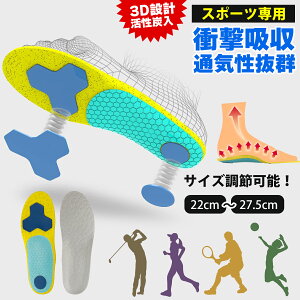 y݌Ɉ|SALE1580~598~zX|[c C\[ oR@oXP@A[`T|[g ʋC ~ 3DA[` l̍Hw  Ռz Ε y܂ jp |Cg Xj[J[ ~ 