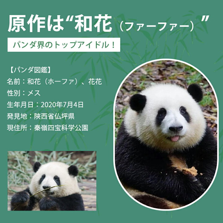 楽天市場】パンダ ブラックパンダ かわいい ぬいぐるみ リアル 