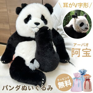 yMtgΉz  A[oI V` p_ ʂ F Aʂ panda ǂԂ  A ӂӂ { 킢 傫   YQ YQ 