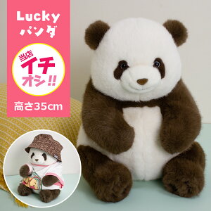 XC`IV@yLuckyp_zbL[p_ ʂ p_ t@[XggC F Aʂ panda ǂԂ  A ӂӂ { 킢 傫  