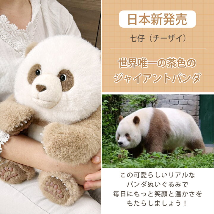 楽天市場】ぬいぐるみ パンダ 和花 花花 七仔 ふわふわ パンダ  