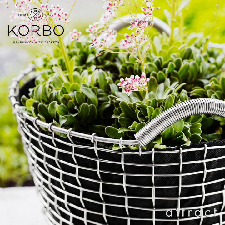 楽天市場】コルボ KORBO クラシック 24 Classic 24 ワイヤー 