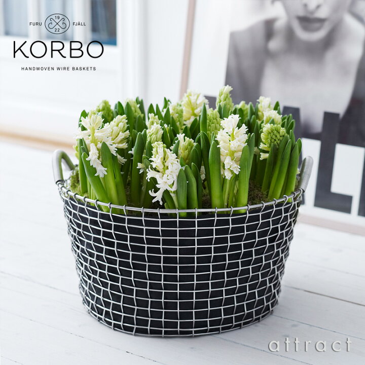 楽天市場】コルボ KORBO クラシック 35 Classic 35 ワイヤー  