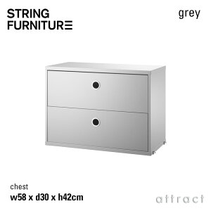 XgO string VXe system `FXg 58×30×42cm 1 J[FO[ fUCFjXEXgjO o 2i ǖʎ[ VFt VXe gݗ XEF[f yRCPz ysmtb-KD