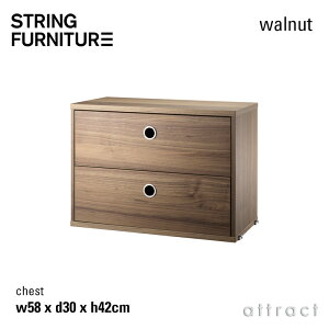 XgO string VXe system `FXg 58×30×42cm 1 J[FEH[ibg fUCFjXEXgjO o 2i ǖʎ[ VFt VXe gݗ XEF[f yRCPz 