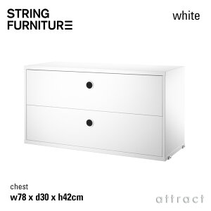 XgO string VXe system `FXg 78×30×42cm 1 J[FzCg fUCFjXEXgjO o 2i ǖʎ[ VFt VXe gݗ XEF[f yRCPz ysmtb-K