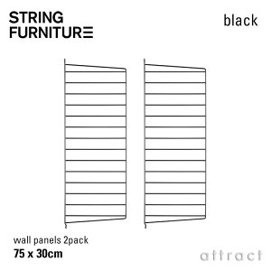 �X�g�����O string �V�X�e�� system �E�H�[���p�l�� 75×30cm 2���� �J���[�F3�F �f�U�C���F�j���X�E�X�g���j���O �T�C�h�p�l�� �E�H�[�� �ǖʎ��[ �V�F���t �V�X�e�� �g�ݗ��� �X�E�F�[�f�� �yRCP